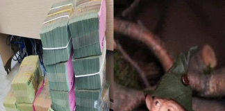 5 tuổi tựa cỗ máy in tiền trong năm 2024: 2 tuổi cầu tài được tài, cầu lộc Tiền-Tài chạm đỉnh