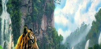 3 ngày cuối tháng 2 Dương lịch: 4 tuổi vượt sóng vượt gió, gặp dữ hoá lành, tiền – tình – danh rực rỡ