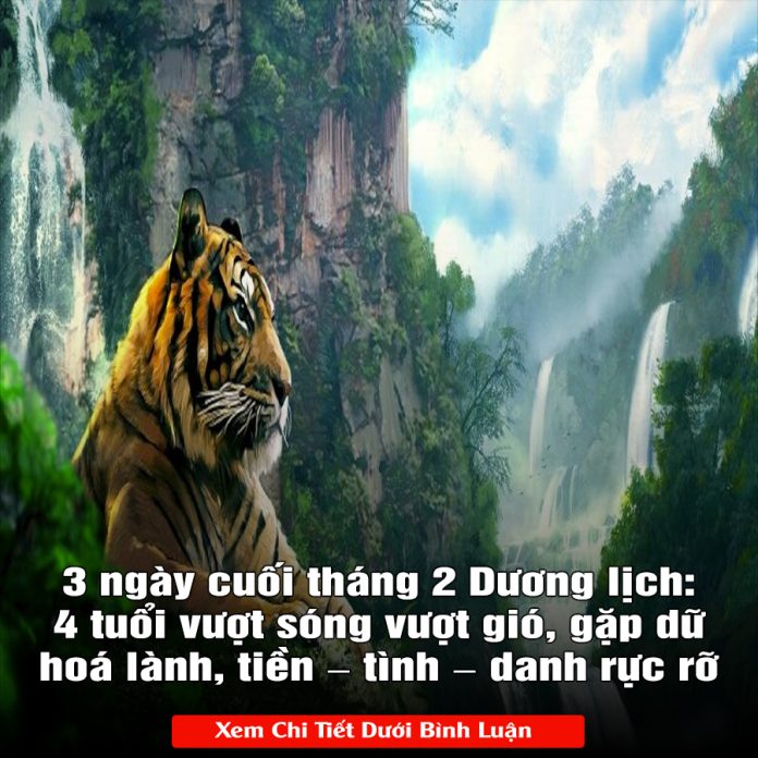 3 ngày cuối tháng 2 Dương lịch 4 tuổi vượt sóng vượt gió, gặp dữ hoá lành, tiền – tình – danh rực rỡ