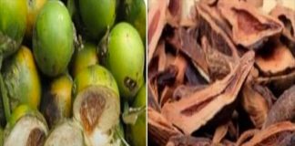 4 loại trái cây dễ “đánh thức” tế bào ung thư, dù ngon đến mấy cũng không nên ăn