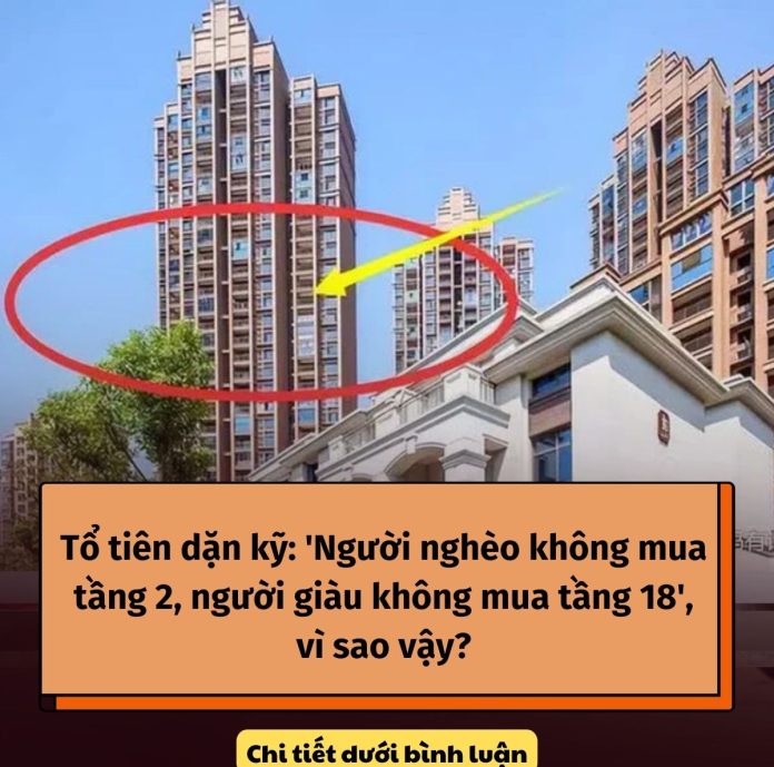 426575463_122127534398127459_7148902705038654600_n