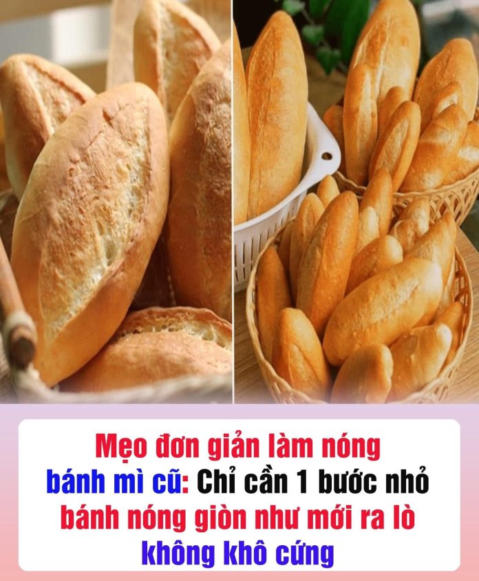 428462784_380587098053050_5205094060109123030_n