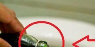 Nhỏ vài giọt dầu gió vào bồn cầu: Chỉ tốn vài ngàn đồng nhưng tiết kiệm tiền triệu mỗi năm, chị em tiếc hùi hụi vì không biết sớm