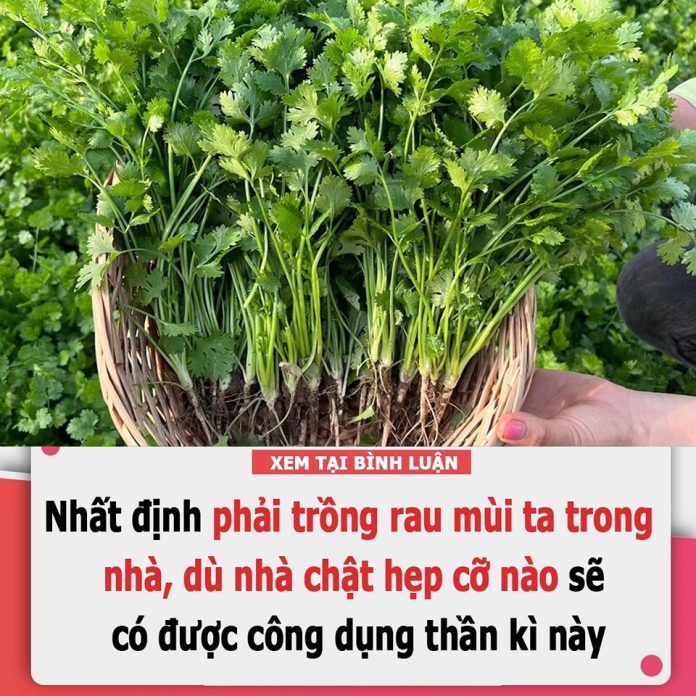 428599870_381045698007190_3913964877883663585_n