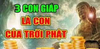 Thần Hộ Mệnh đỡ đầu, 3 ngày cuối tuần (23, 24, 25/2) 3 con giáp lội ngược dòng, cập bến giàu sang, dư tiền dư của, ngồi mát ăn bát vàng