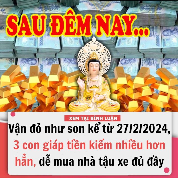 428695563_853673660120021_8003836406313440202_n