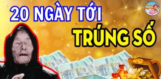 Bốn con giáp ‘ĐẠP GIÓ, RẼ SÓNG’, hưởng phúc lành vô biên trong 20 ngày tới