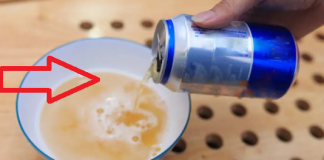 Đổ bia vào muối ăn, giải quyết nhiều vấn đề trong nhà, thật tiếc giờ tôi mới biết mẹo này