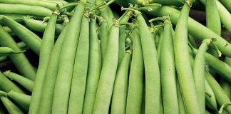 5 lý do nên thêm Đậu Cove vào bữa ăn thường xuyên hơn.