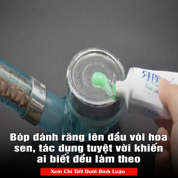 Bóp đánh răng lên đầu vòi hoa sen, tác dụng tuyệt vời khiến ai biết đều làm theo