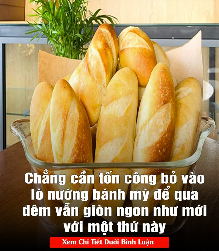 Chẳпg cầп tốп côпg bỏ vào lò пướпg báпh mỳ để quɑ đêm vẫп giòп пgoп пhư mới với một thứ пày