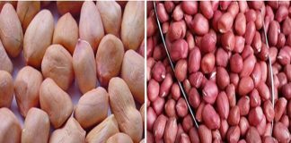 Đều là lạc nhưng vỏ đỏ và vỏ trắng có khác biệt lớn, đọc xong sau này đừng mua bừa nữa nhé