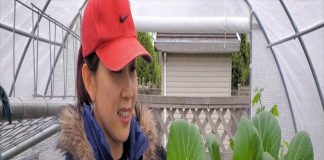 Đi chợ mua rau phải nhìn kĩ 3 điểm này, biết ngay rau có ‘tắm’ thuốc trừ sâu hay không