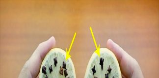 Lấy thứ này cắm vào quả chanh rồi để góc nhà, muỗi một đi không trở lại