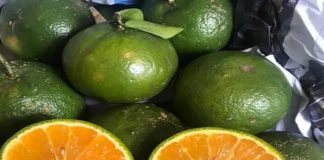 Mua cam sành về đừng vội bỏ vào tủ lạnh: Làm theo cách này để vài tháng vẫn tươi rói, quả mọng nước, ngọt lịm