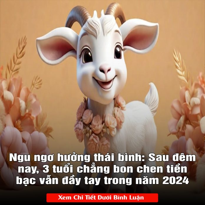 Ngu ngơ hưởng thái bình Sau đêm nay, 3 tuổi chẳng bon chen tiền bạc vẫn đầy tay trong năm 2024