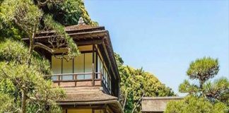 Ngược đời: Người nghèo ở nhà đất, người giàu chọn ở chung cư, lý giải quá bất ngờ