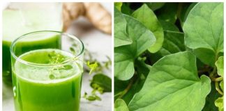 9 tác dụng của rau diếp cá mà ai cũng nên biết