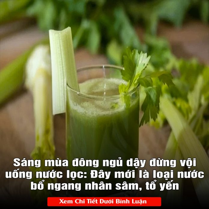 Sáng mùa đông ngủ dậy đừng vội uống nước lọc Đây mới là loại nước bổ ngang nhân sâm, tổ yến