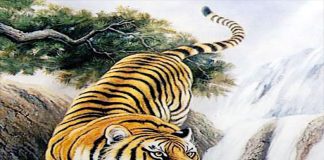 Sau đêm nay, 3 con giáp cầu được ước thấy, vượt mọi nghịch cảnh, thăng quan phát tài, thu nhập ‘kếch xù’