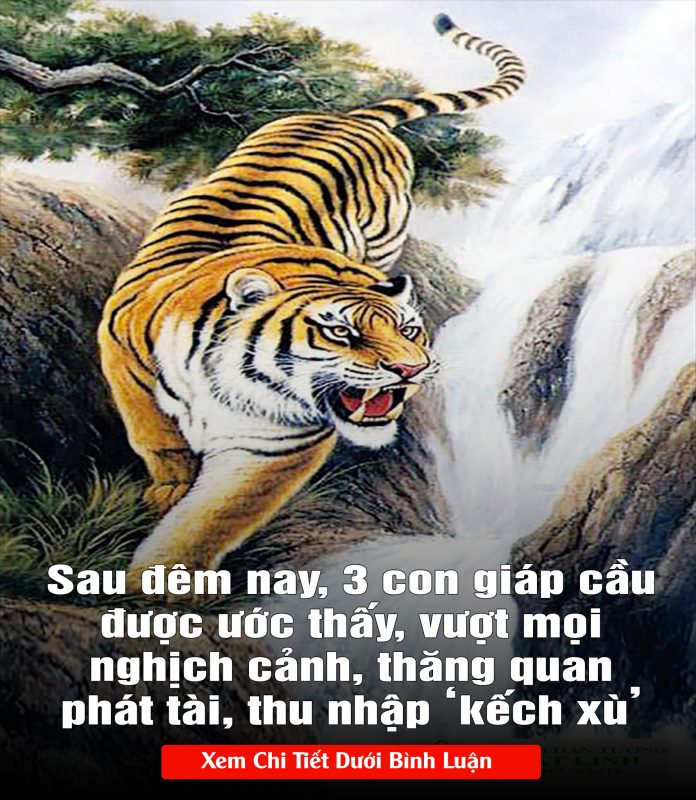 Sau đêm nay, 3 con giáp cầu được ước thấy, vượt mọi nghịch cảnh, thăng quan phát tài, thu nhập ‘kếch xù’