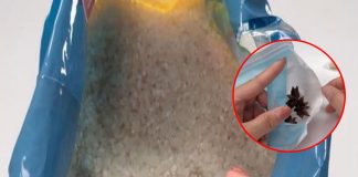 Thùng gạo có mọt, chỉ cần bỏ thứ này vào: Để cả năm cũng không lo mốc, sâu mọt cũng tự đi hết