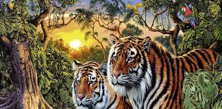 Từ giờ đến giữa năm 2024, 3 con giáp tạm biệt xui xẻo, vận giàu sang tới không kịp cản, sự nghiệp bứt phá không ngừng