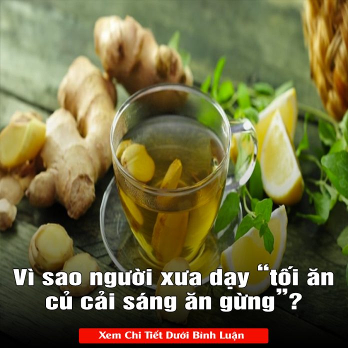 Vì sao người xưa dạy “tối ăn củ cải sáng ăn gừng”