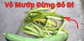 Gọt vỏ mướp đừng vội đổ ngay vào thùng rác, đây là cách hưởng lợi quý giá, ai không biết quá phí
