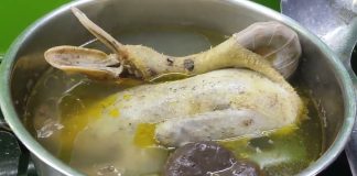 Cắt nhỏ loại Quả này rồi thả vào nồi luộc Vịt: Vịt rất thơm ngon, thịt mềm, ngọt.