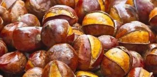 Hạt dẻ – Tất cả những điều bạn cần biết