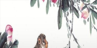 10 ngày tới (15/3-25/3): 4 tuổi chính thức hết khổ, tiền của dồi dào làm gì cũng thuận