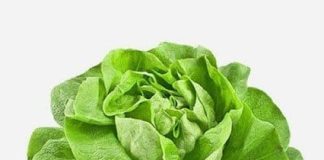 Rau xà lách có tốt cho sức khỏe hay không?