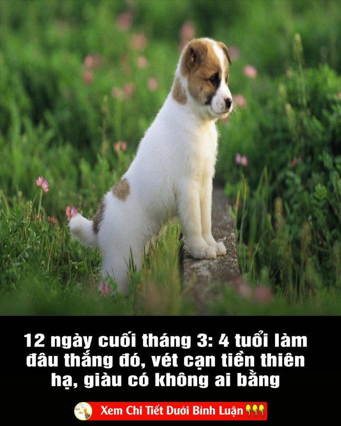 12-ngay-cuoi-thang-3-4-tuoi-lam