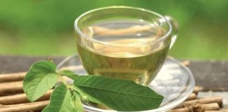 Công dụng chữa “bách bệnh” từ nước lá ổi có thể bạn chưa biết