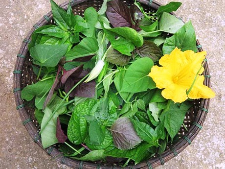 20190715142849trang-4-rau-tap-ta