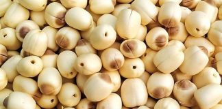 Những người không nên ăn hạt sen