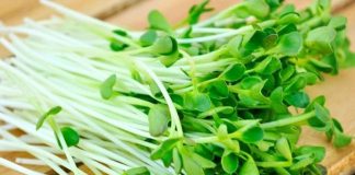 Điều gì xảy ra khi bạn ăn rau mầm hàng ngày?