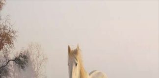 3 tuổi ăn lộc Tổ Tiên đạp trúng hố vàng: Tháng 3 đổi vận giàu sang, tháng 4 Tài – Lộc chạm đỉnh