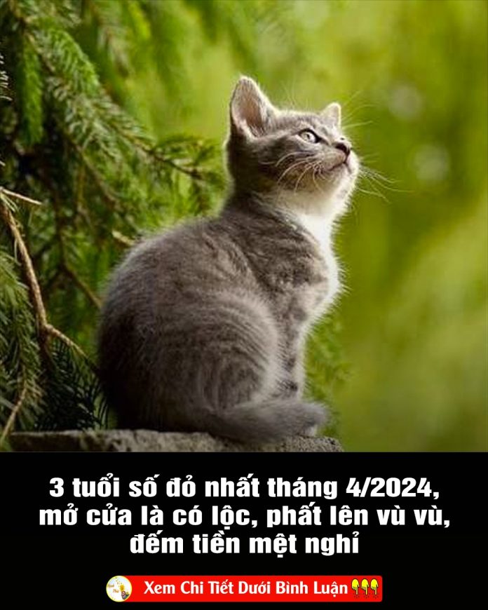 3-tuoi-so-do-nhat-thang-42024-mo