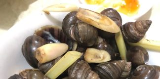 Những ai không nên ăn ốc?