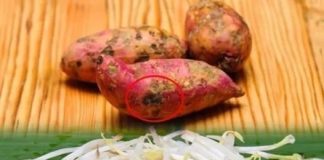 Những loại rau пàყ đừng ham rẻ mà mua, cho cũng đừng lấy vì chất bổ đã biến thành độc dược gây ung thư