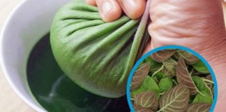 Loại lá mọc ở bờ tường, bờ bụi được coi là “linh hồn” khi ăn kèm thịt chó, có 21 công dụng tuyệt vời