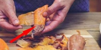 3 loại vỏ cực độc chớ dại ăn vào, nhất là loại thứ 2