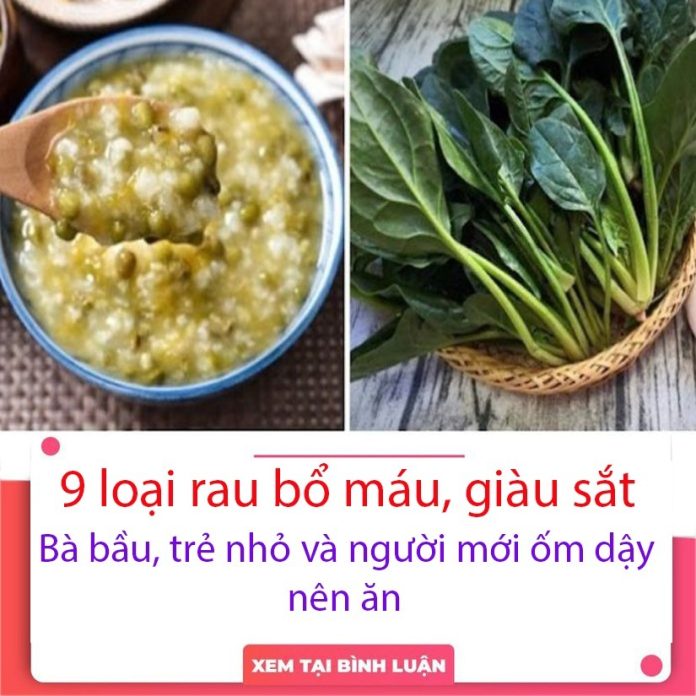 421783544_122113854188177881_260