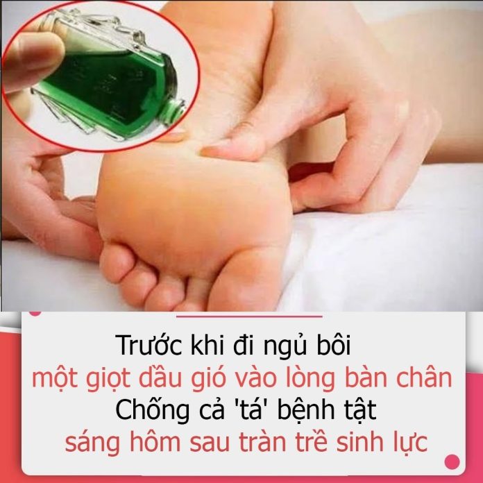 422233760_122113854542177881_452