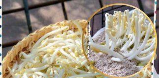 CỨ LÀM GIÁ ĐỖ THEO CÁCH NÀY, không cần tưới nước mà 2 ngày đã có ngay giá đỗ vừa tr:ắng vừa t:o