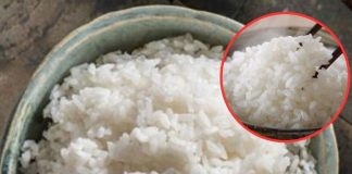 Cách bảo quản cơm nguội cả tuần ăn vẫn ngon như cơm mới: Đừng quên bước này