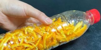 Nhét vỏ cam vào vỏ chai nước rỗng, tưởng rỗi hơi nhưng tiết kiệm 1 khoản tiền lớn mỗi năm