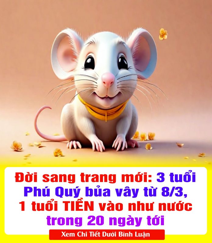 428690335_809039411272201_553274